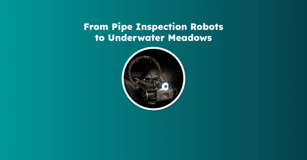From Pipe Inspection Robots to Underwater Meadows